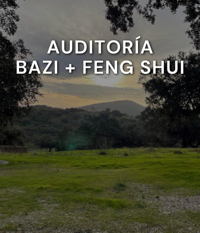 auditoría feng shui